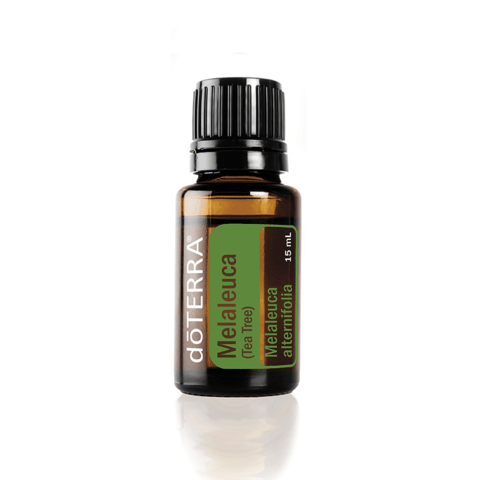 Melaleuca 15ml (Tea Tree)